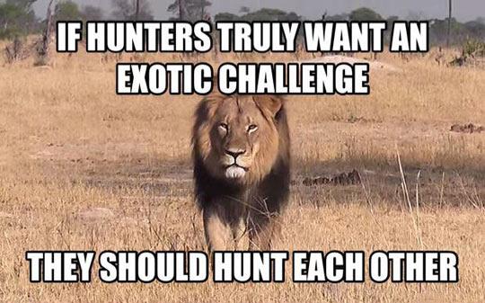 What+Hunters+Should+Do