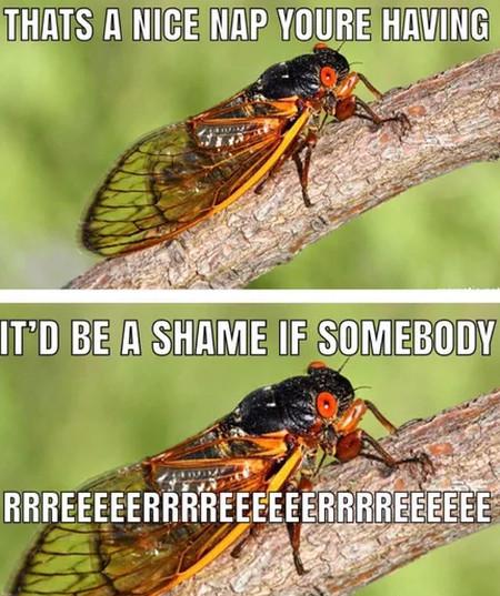 Thats+A+Nice+Nap+Youre+Having