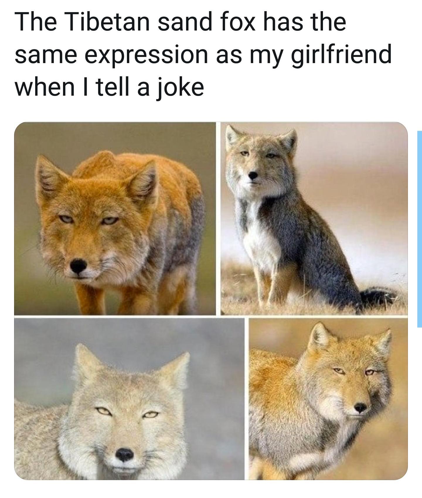 My+mom+thinks+I%26%238217%3Bm+funny