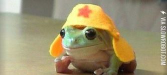 FROGGIE+HAZ+A+HAT+%3A%29