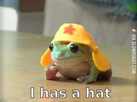 FROGGIE+HAZ+A+HAT+%3A%29