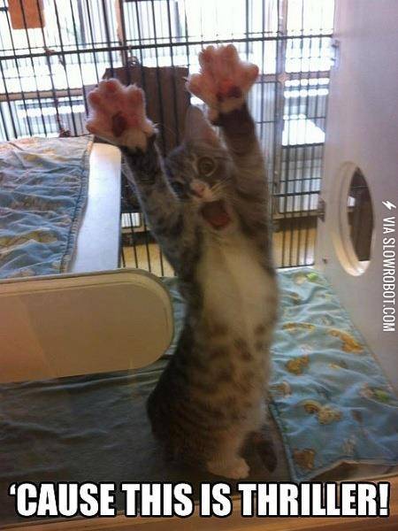 MJ+KITTEH+SINGS+THRILLER