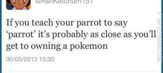 As+close+as+you%26%238217%3Bll+get+to+owning+a+pokemon.