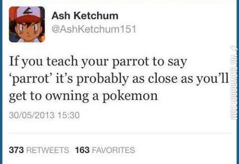 As+close+as+you%26%238217%3Bll+get+to+owning+a+pokemon.
