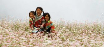 Three+happy+girls+in+a+field+of+flowers
