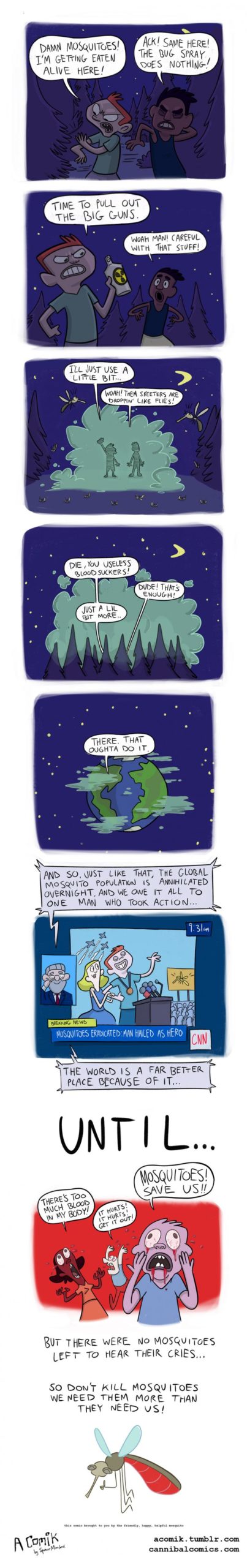 The+Mosquito+Problem