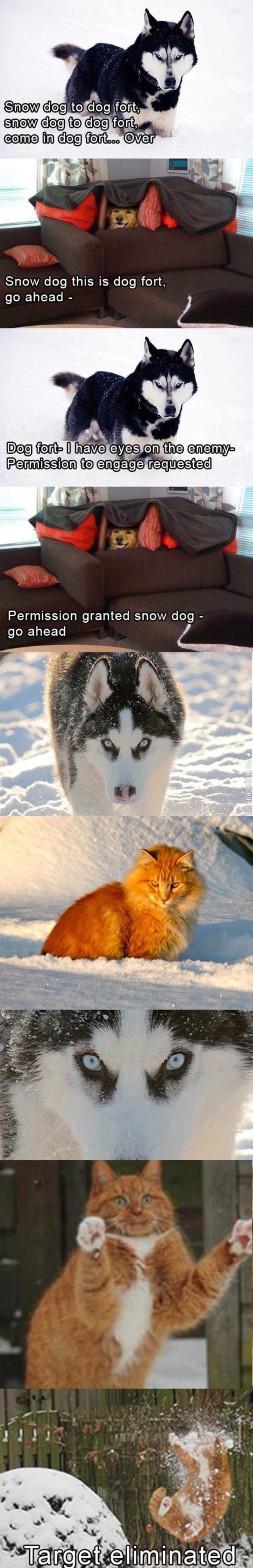 Snow+dog+to+dog+fort%26%238230%3B