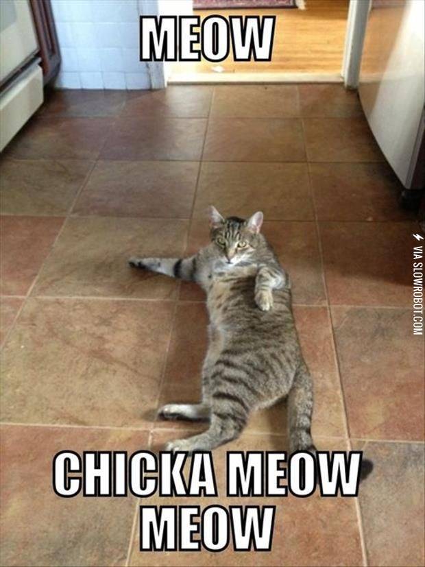 Meow+chicka+meow+meow.