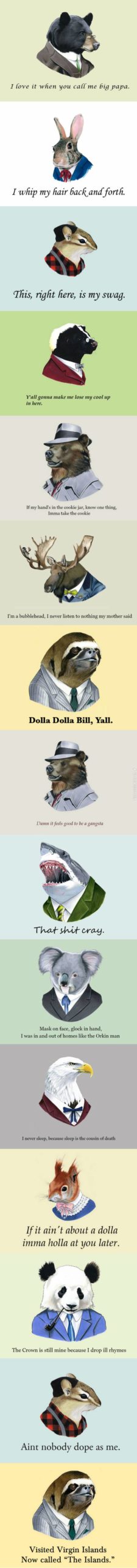 Classy+animals+with+rap+lyrics.