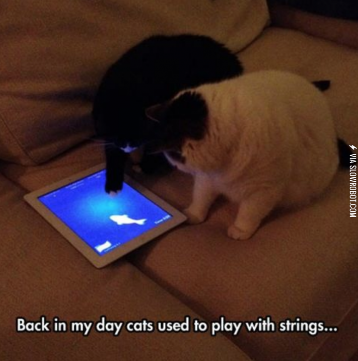 Cats+these+days%26%238230%3B