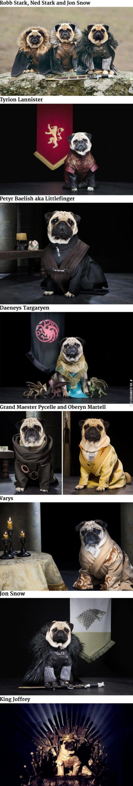 The+Pugs+of+Westeros.