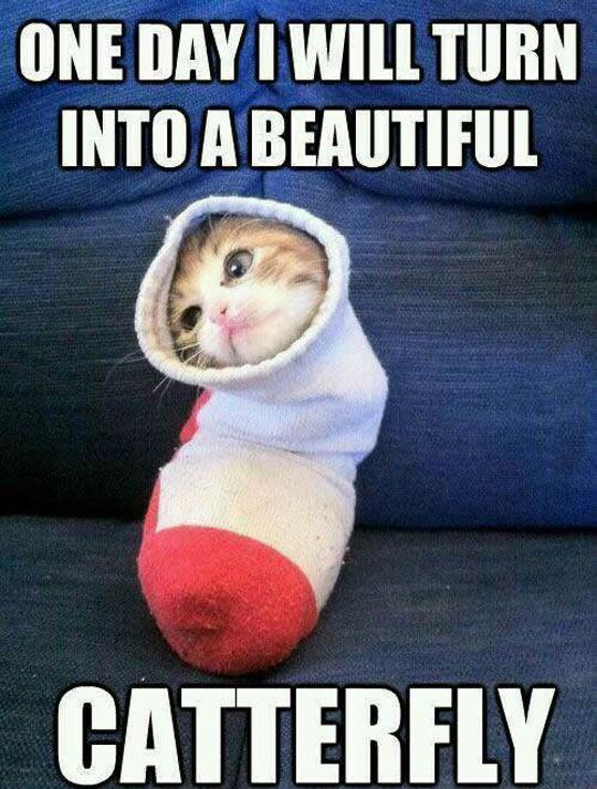 You+Just+Wait+And+See