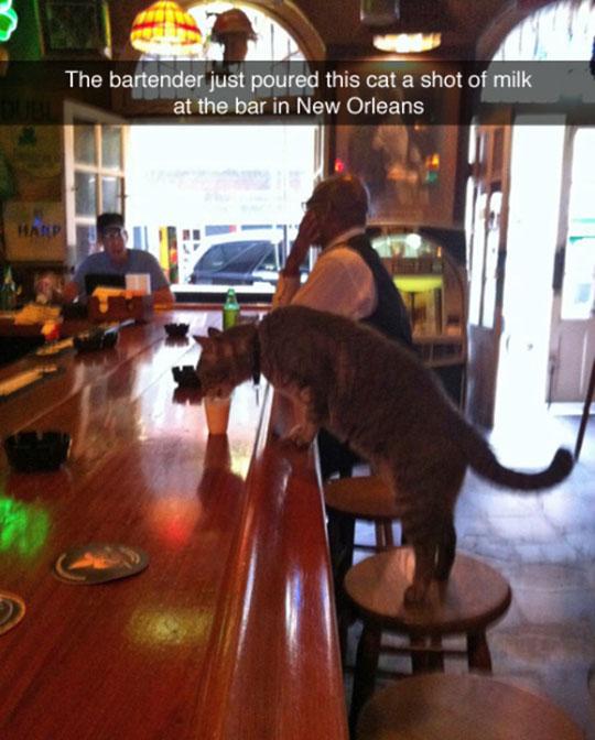 Just+The+Usual+Customer+Having+A+Drink