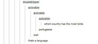 Portugeese