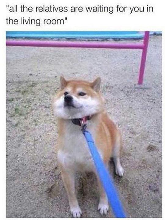 I+Don%26%238217%3Bt+Want+To