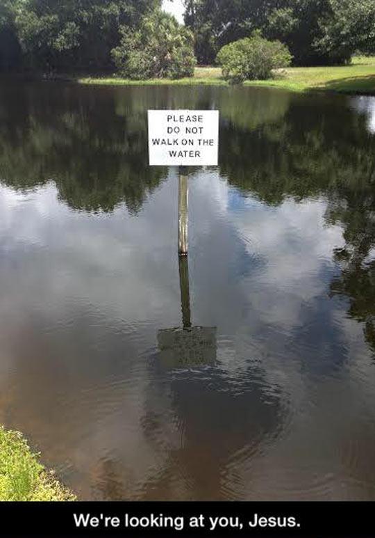 We%26%238217%3Bre+looking+at+you%2C+Jesus.