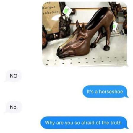 It%26%238217%3Bs+A+Horseshoe