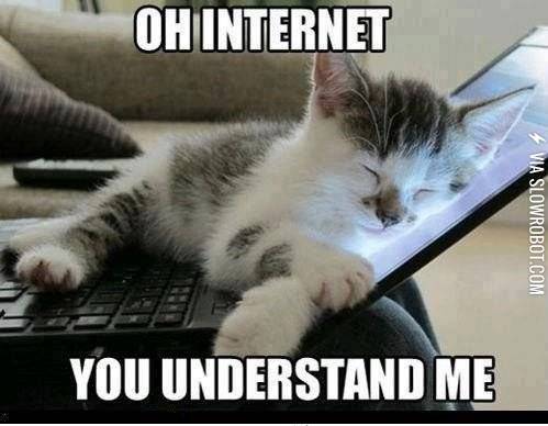 Oh+Internet%26%238230%3B