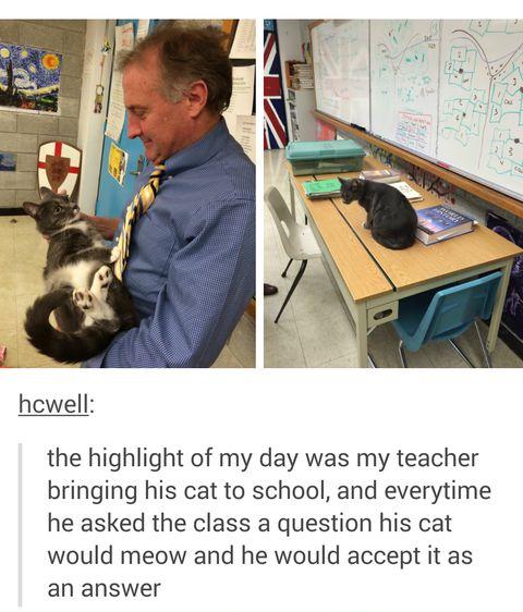 The+highlight+of+my+day