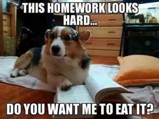 Need+Some+Help+Master%3F