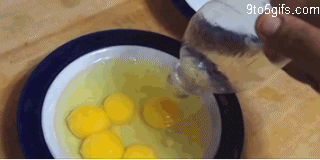 The+easy+way+to+separate+egg+yolks+from+egg+whites