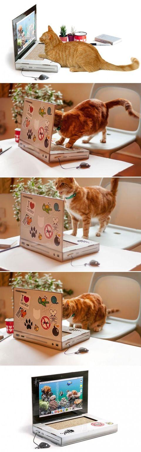 A+Laptop+For+Your+Cat+So+It+Won%26%238217%3Bt+Destroy+Yours