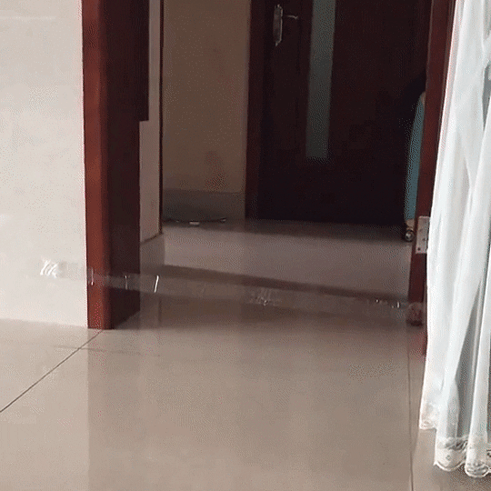 Srsly+why+you+like+dis+Karen