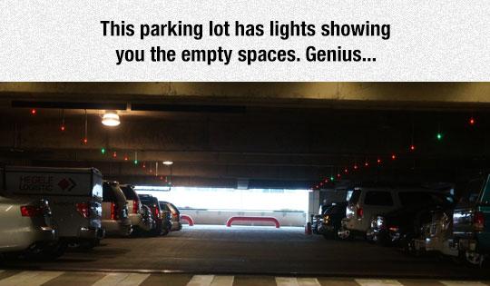 Please+make+this+standard.