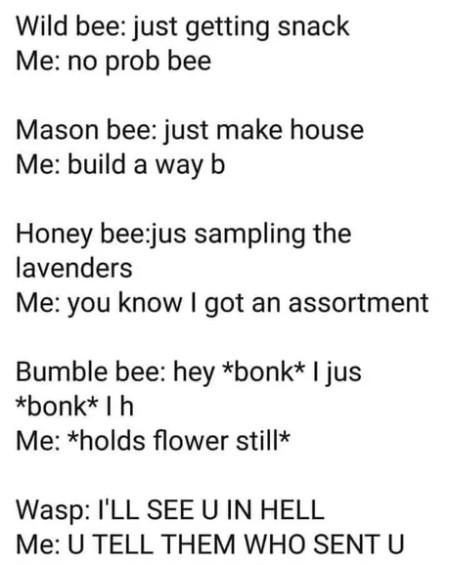 No+Prob+Bee..