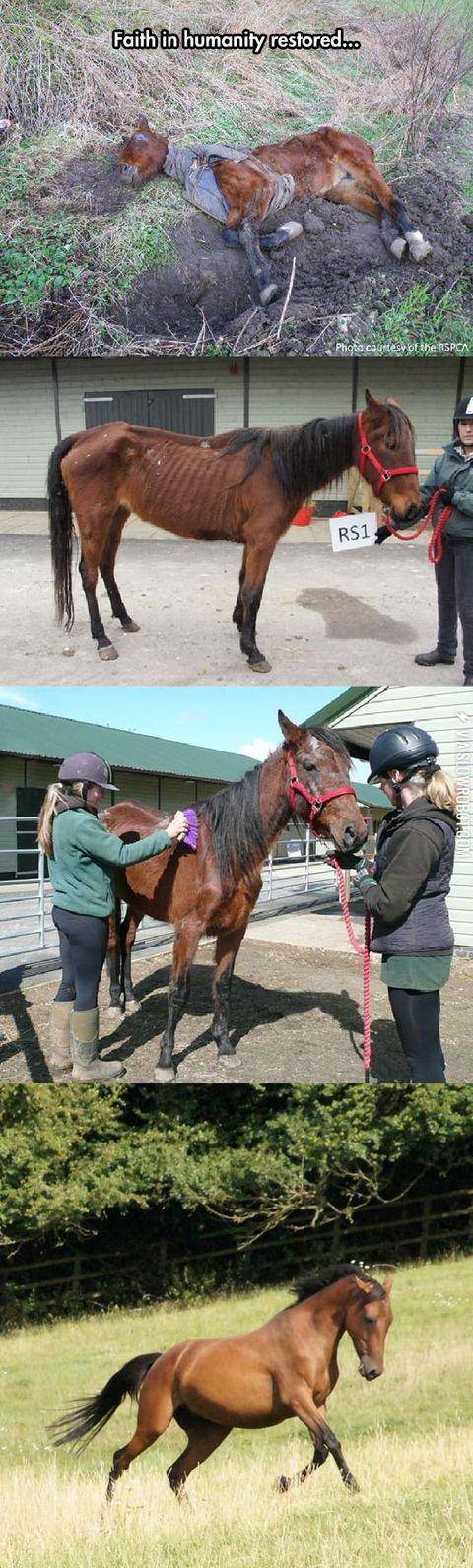 Little+survivor+finds+a+home