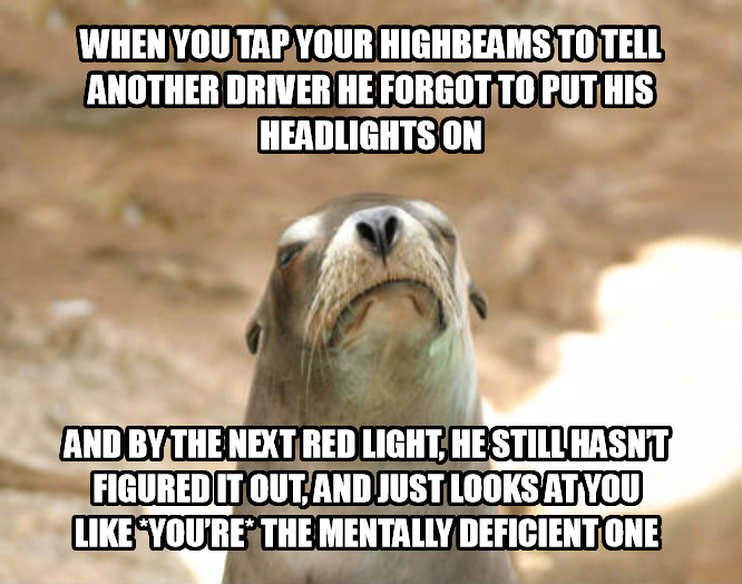 Of+all+places+to+derp+out%2C+how+do+some+people+manage+to+do+it+behind+the+wheel%3F