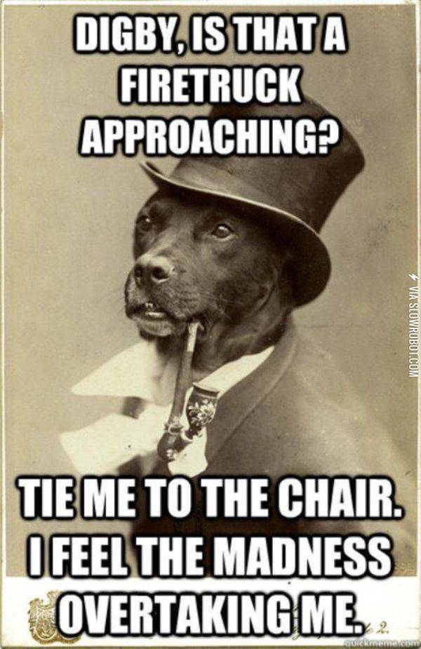 Digby%2C+Tie+me+to+the+Chair