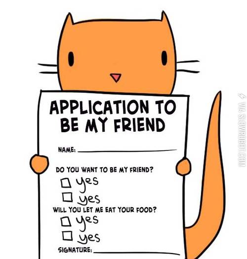 Application+to+be+my+friend