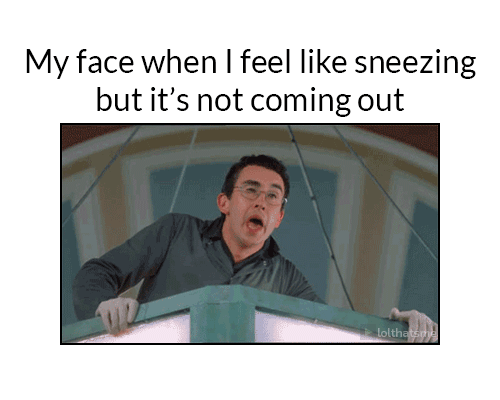 When+you+can%26%238217%3Bt+get+the+sneeze+out.