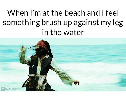 This+is+why+I+don%26%238217%3Bt+go+in+the+water%26%238230%3B