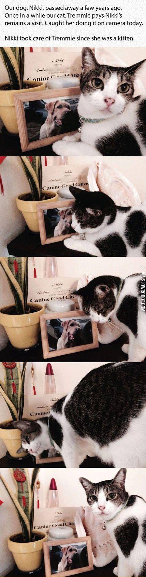 Well%2C+here+goes+the+feels+train