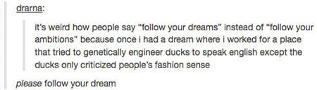 It%26%238217%3Bs+Weird+How+People+Say+%26%238220%3BFollow+Your+Dreams%26%238221%3B