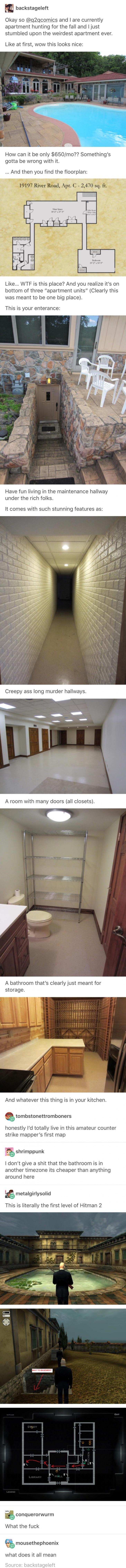 I+have+so+many+questions+about+this+apartment