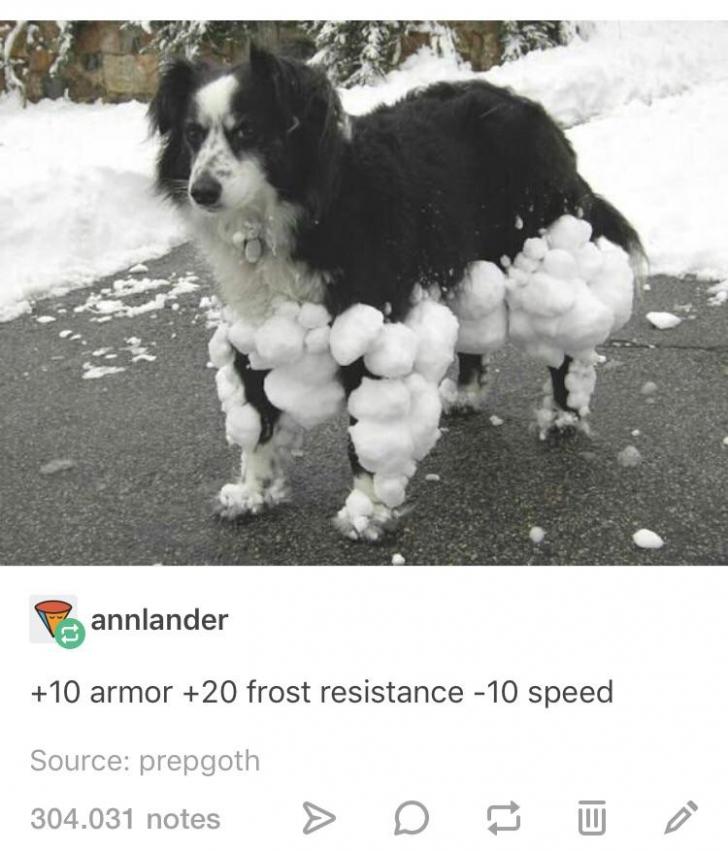 The+King+of+the+Norf