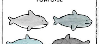 Multi+Porpoise