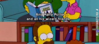 Ned+Flanders+on+Harry+Potter.