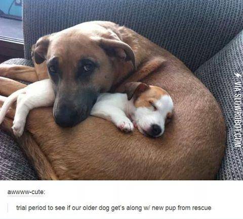 I+think+they%26%23039%3Bre+gonna+be+okay