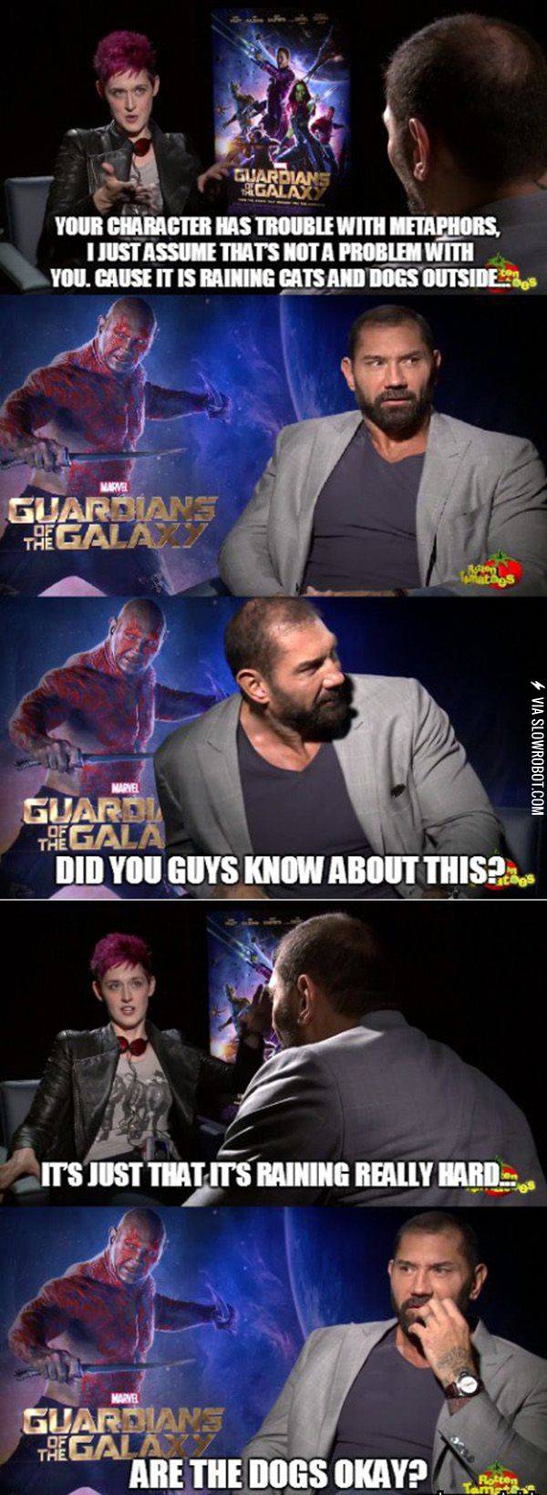 I%26%238217%3Bm+concerned+about+the+cats%2C+too