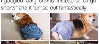 Corgi+Shorts