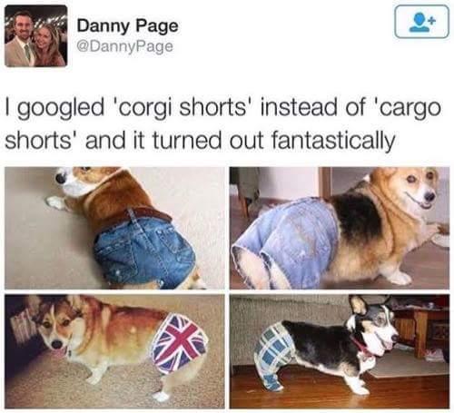 Corgi+Shorts