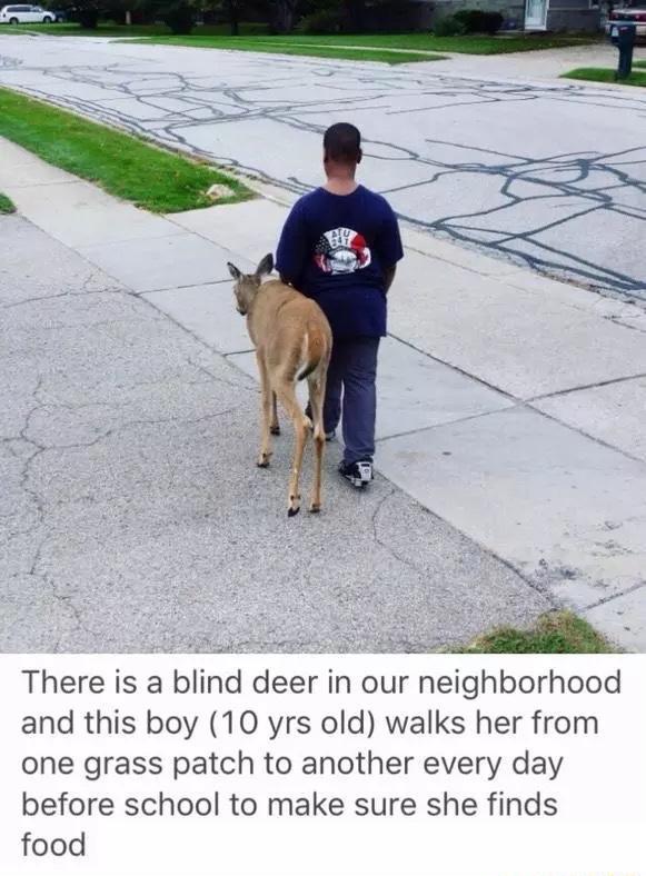 Faith+in+humanity%2C+restored.