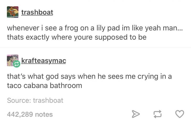 Frog+on+a+Lily+Pad