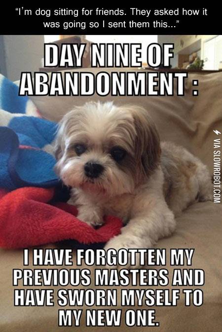 A+dog%26%238217%3Bs+life.