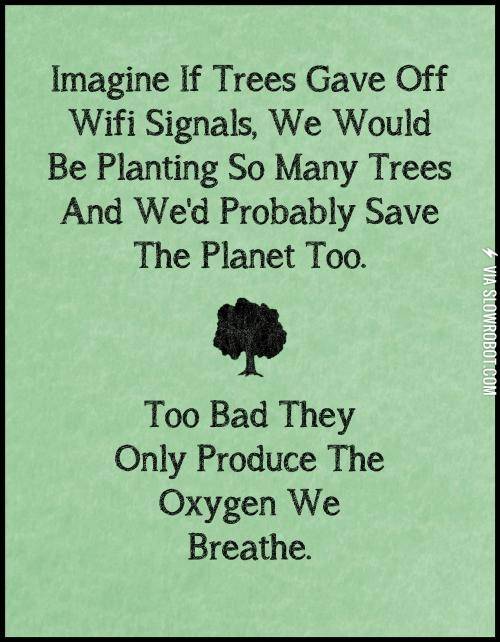 If+trees+produced+wifi.