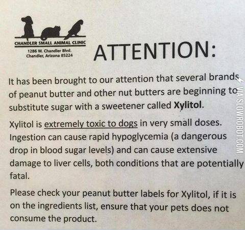 Attention+dog+owners
